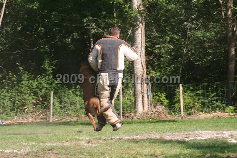 Twisty des Loups Mutins (15).jpg